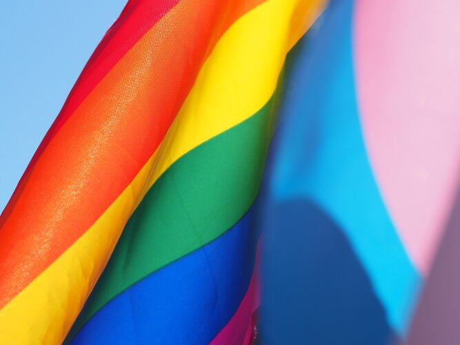 Homoseksualių asmenų santuoka – prigimtinė teisė ar privilegija?
