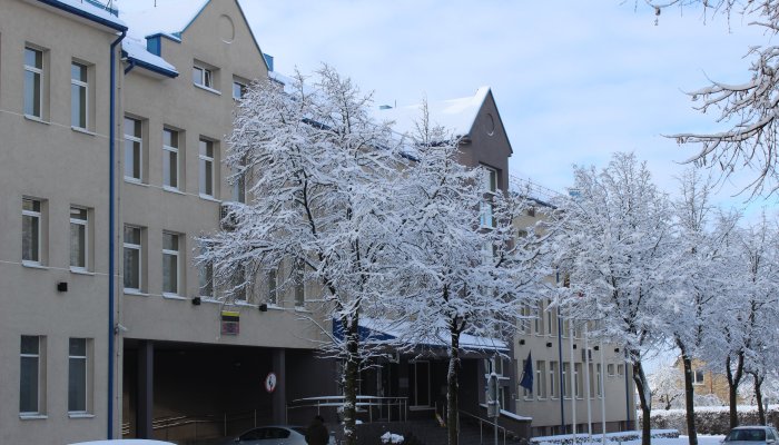 Buvusiai kandidatei į LR Seimą I. Gajauskaitei teismas skyrė 75 parų arešto bausmę