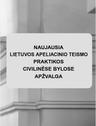 Lietuvos apeliacinio teismo 2026 m. sausio–vasario mėn. praktikos civilinėse bylose apžvalga