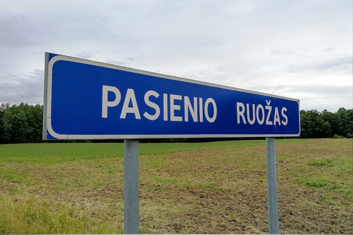 Su nelegaliais migrantais nuo policijos sprukusiam užsieniečiui – nuosprendis